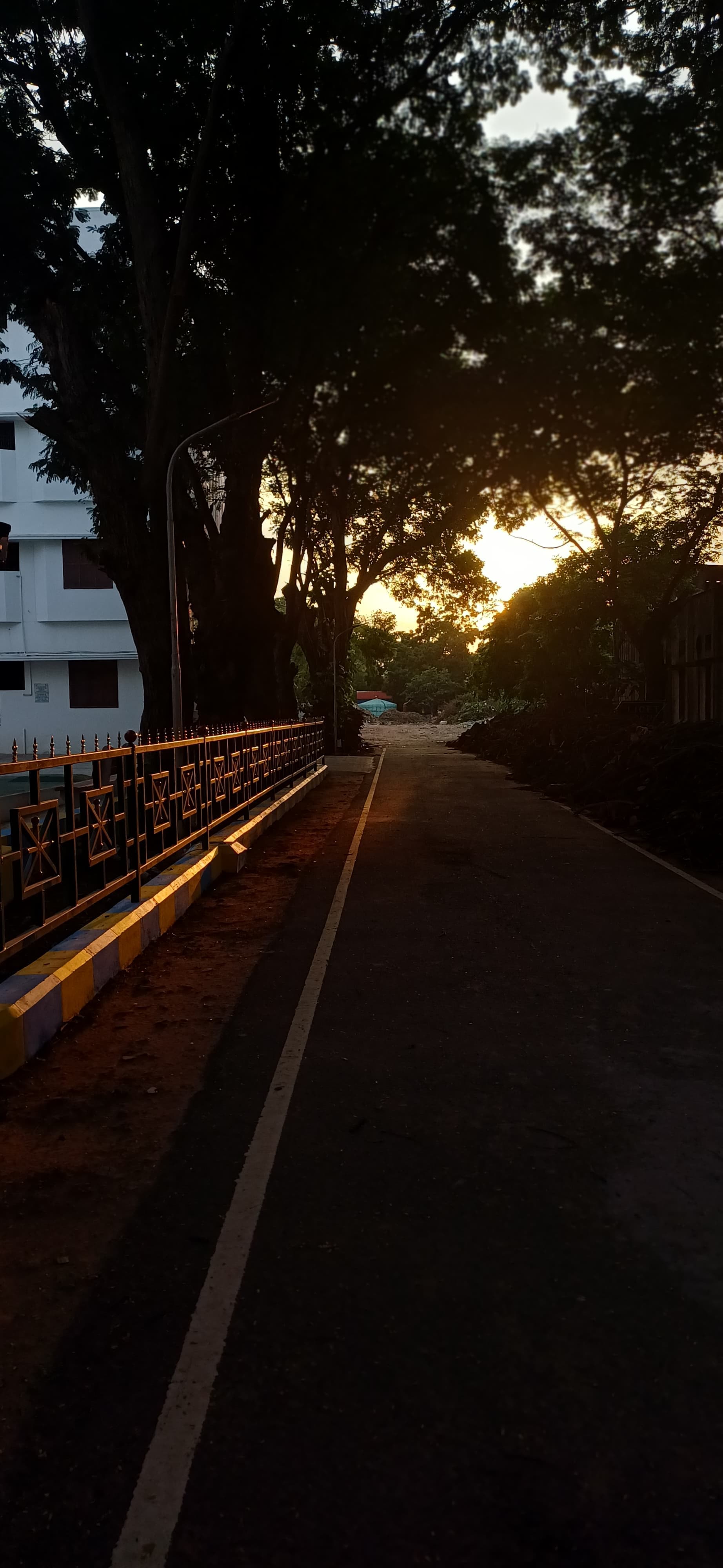 Sunset to my Struggle