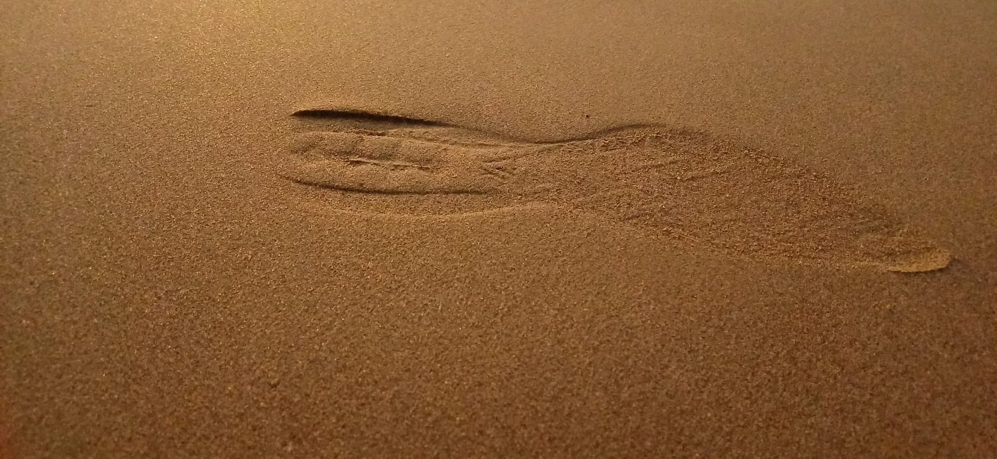 Footprints of Freedom